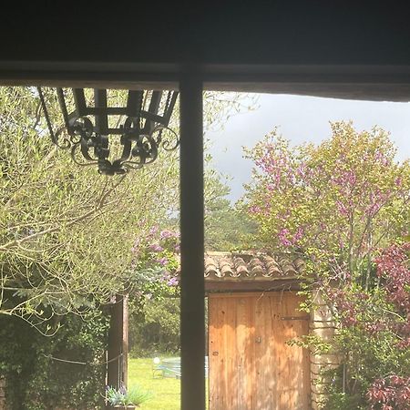 Masiadenjust Rojals Buitenkant foto